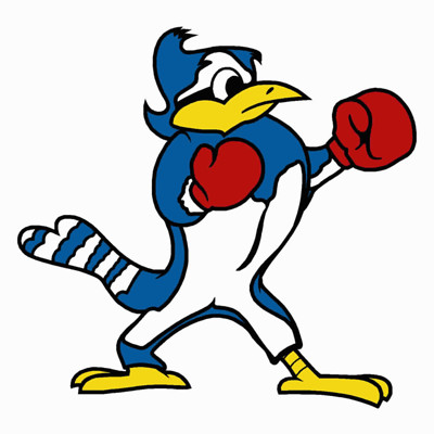 Bluejay